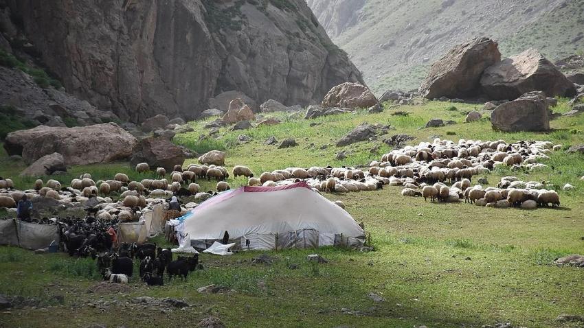 Meralar Kiraya Verilecek