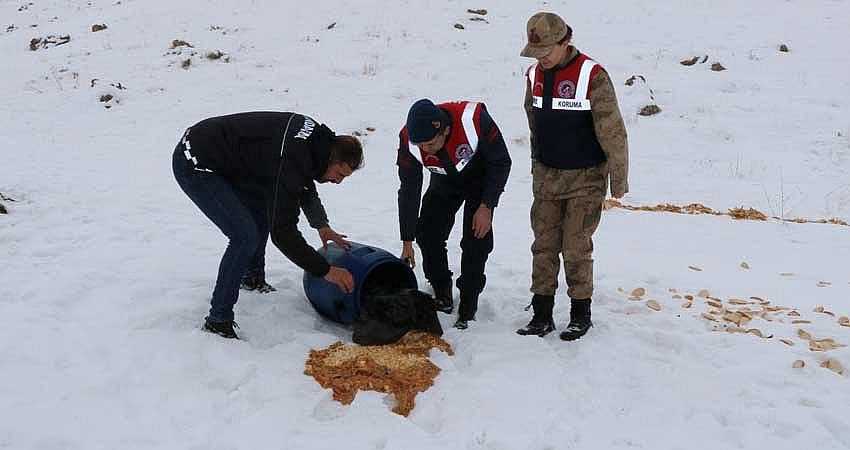 JANDARMA SOKAK HAYVANLARINA YİYECEK BIRAKTI