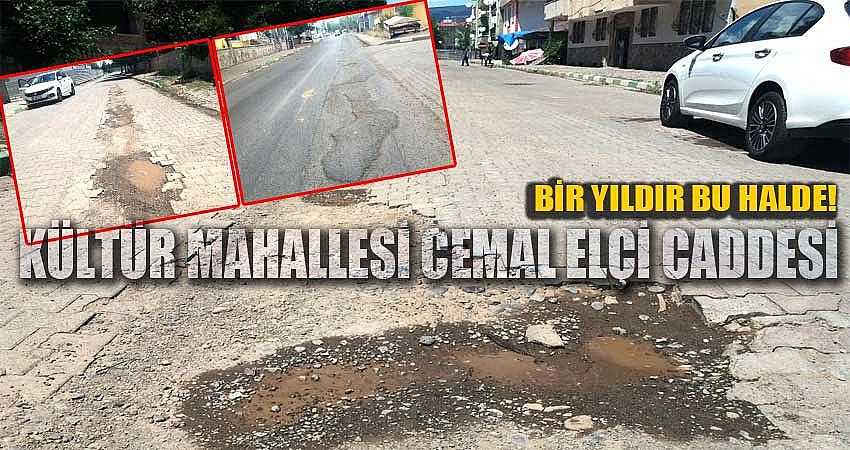 BİR YILDIR BU HALDE!