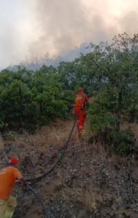 Kığı’da Orman Yangını