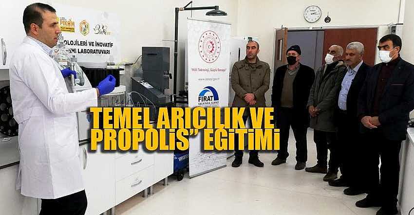ÜRETİCİLERE ’TEMEL ARACILIK VE PROPOLİS” EĞİTİMİ