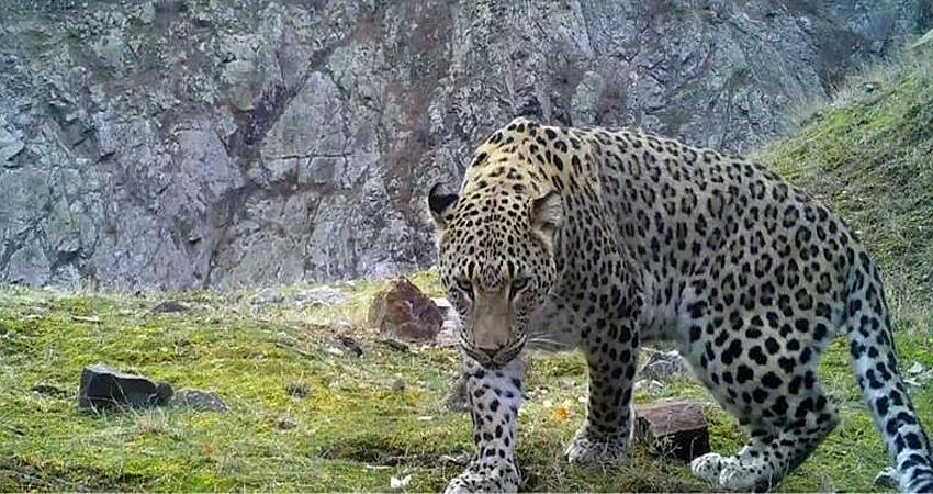 AYLAR SONRA BİR KEZ DAHA GÖRÜNDÜ