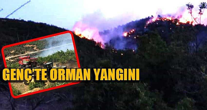 ORMAN YANGINLARI BAŞLADI
