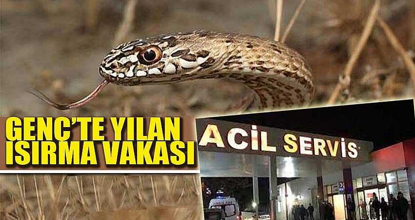 Yılanın Isırdığı Adam Yoğun Bakıma Alındı